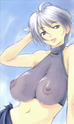 Rule 34 | 1girl, breasts, covered erect nipples, female focus, halterneck, huge breasts, large breasts, michael f91, navel, original, outdoors, see-through, short hair, silver hair, sky, solo, upper body