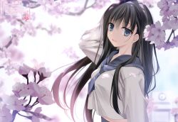 Rule 34 | 1girl, absurdres, arm up, blue eyes, blurry, blurry background, blush, branch, cherry blossoms, day, flower, highres, huge filesize, karory, long hair, long sleeves, looking at viewer, open mouth, original, outdoors, sailor collar, scan, school uniform, simple background, smile, solo, upper body