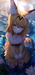 Rule 34 | 1girl, absurdres, animal ear fluff, animal ears, bare shoulders, blonde hair, blush, bow, bowtie, commentary, elbow gloves, flower, gloves, hair between eyes, head tilt, high-waist shorts, highres, kemono friends, lily pad, lo-ta, nature, pond, pout, print bow, print bowtie, serval (kemono friends), serval print, shirt, shorts, skirt, skirt hold, sleeveless, sleeveless shirt, solo, symbol-only commentary, tail, traditional bowtie, wading, water, water lily flower, white shirt, yellow eyes, yellow skirt
