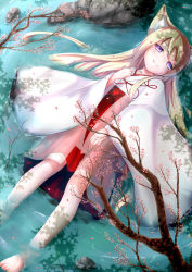 Rule 34 | 1girl, animal ears, barefoot, blonde hair, branch, fox ears, japanese clothes, long hair, lying, miko, on back, original, partially submerged, pony (moyasi), purple eyes, rock, see-through, smile, solo, tree shade, water, wide sleeves, traditional youkai