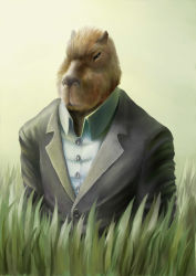 Rule 34 | capybara, formal, grass, highres, jk, junk (jk), lapels, no humans, notched lapels, original, solo, suit, what