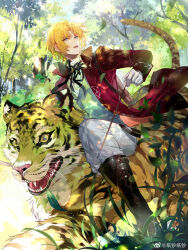 Rule 34 | 1boy, aqua eyes, arrow (projectile), black footwear, black ribbon, blonde hair, boots, brooch, center frills, curtained hair, dappled sunlight, day, facing to the side, feet out of frame, forest, frills, gloves, grass, grey vest, highres, holding, holding arrow, jacket, jewelry, lapels, lars rorschach, lens flare, light particles, long sleeves, looking at viewer, lovebrush chronicles, male focus, nature, neck ribbon, nevakuma (fanfanas), notched lapels, official art, open clothes, open jacket, open mouth, outdoors, pants, parted bangs, red jacket, ribbon, riding, riding animal, shirt, short hair, sideways glance, sleeve cuffs, solo, sparkle, sunlight, teeth, tiger, upper teeth only, v-shaped eyebrows, vest, weibo logo, weibo watermark, white gloves, white pants, white shirt