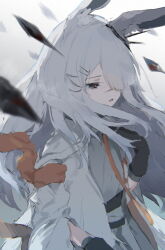 Rule 34 | 1girl, animal ear fluff, animal ears, arknights, black gloves, commentary request, frostnova (arknights), gloves, gradient background, grey background, grey eyes, grey hair, grey shirt, hair ornament, hair over one eye, hairclip, hand up, jacket, open clothes, open jacket, parted lips, rabbit ears, shirt, solo, unitedunti, upper body, white background, white jacket
