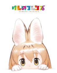 Rule 34 | 10s, 1girl, animal ears, blonde hair, brown eyes, copyright name, gloves, hair between eyes, kemono friends, logo, looking at viewer, official art, peeking out, serval (kemono friends), short hair, simple background, solo, table, white background, yoshizaki mine