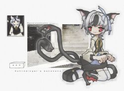 Rule 34 | 1girl, ai-assisted, animal ears, black skirt, black vest, cat ears, cat girl, cat tail, collared shirt, english text, grey hair, ha4to, kneeling, long sleeves, mary janes, multiple tails, original, red eyes, shirt, shoes, short hair, skirt, solo, tail, tail mouth, thighhighs, touhou, vest, white thighhighs