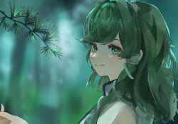 Rule 34 | 1girl, blurry, blurry background, branch, closed mouth, commentary, eneshi, frog hair ornament, from side, green eyes, green hair, hair ornament, highres, kochiya sanae, long hair, looking at viewer, looking to the side, outdoors, smile, snake hair ornament, solo, touhou, water drop