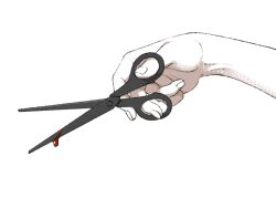Rule 34 | 1other, ambiguous gender, blood, commentary request, fingernails, hand focus, holding, holding scissors, limited palette, original, out of frame, scissors, shokugyo, simple background, solo, white background