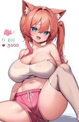 Rule 34 | 1girl, :d, animal ears, aqua eyes, breasts, camisole, cat ears, cat girl, cleavage, collarbone, curvy, fang, grey thighhighs, hair between eyes, hair intakes, halter shirt, halterneck, highres, kaptivate, large breasts, long hair, looking at viewer, navel, open mouth, orange hair, original, pink shorts, shirt, short shorts, shorts, sidelocks, simple background, sitting, skin fang, smile, solo, spread legs, stomach, strap slip, thighhighs, thighs, white background, white shirt