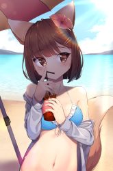 Rule 34 | 1girl, animal ears, bare shoulders, bikini, blue bikini, blush, breasts, brown eyes, brown hair, commentary, day, drinking, drinking straw, flower, fox, fox tail, hair flower, hair ornament, hairclip, highres, jacket, jungki dr, md5 mismatch, medium breasts, navel, off-shoulder jacket, off shoulder, original, outdoors, red flower, resolution mismatch, short hair, solo, source smaller, sun, swimsuit, tail, umbrella, upper body