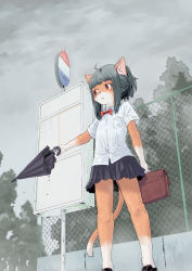 Rule 34 | 1girl, ahoge, animal ears, bag, cat, cat ears, cat tail, dark sky, female focus, fence, from below, furry, furry female, highres, holding, nature, outdoors, plant, ribbon, school uniform, sign, skirt, sky, solo, standing, tail, umbrella, uniform, water, yanamosuda