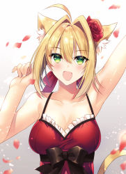 Rule 34 | 1girl, :d, ahoge, animal ears, arm above head, armpits, arms up, bare arms, bare shoulders, black ribbon, blonde hair, breasts, cat ears, cat tail, cleavage, collarbone, dress, fate/grand order, fate (series), fingernails, flower, gradient background, green eyes, hair between eyes, hair flower, hair intakes, hair ornament, hair ribbon, kurumi moka, light particles, looking at viewer, medium breasts, nero claudius (fate), nero claudius (fate) (all), nero claudius (fate/extra), official alternate costume, open mouth, petals, red dress, red flower, red rose, ribbon, rose, rose petals, short hair, simple background, smile, solo, spaghetti strap, tail, upper body