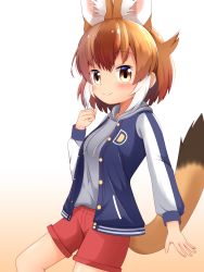 Rule 34 | 1girl, absurdres, animal ear fluff, animal ears, blue jacket, blush, brown background, brown eyes, brown hair, closed mouth, commentary request, dhole (kemono friends), drawstring, feet out of frame, gradient background, grey hoodie, hand up, highres, hood, hood down, hoodie, jacket, kemono friends, letterman jacket, long sleeves, multicolored hair, official alternate costume, open clothes, open jacket, red shorts, shin01571, short shorts, shorts, smile, solo, streaked hair, tail, white background, white hair
