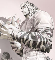 Rule 34 | 1boy, absurdres, alternate costume, animal ears, arknights, bara, bounsies, collared shirt, from side, furry, furry male, highres, jewelry, large hands, large pectorals, looking at viewer, male focus, mountain (arknights), multiple rings, muscular, muscular male, open hands, pants, pectorals, ring, scar, scar across eye, shirt, sleeves rolled up, thick eyebrows, tiger ears, tiger stripes, upper body, white fur, white pants, white shirt