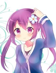 Rule 34 | 1girl, 3:, arm up, blue shirt, blush, breasts, closed mouth, collarbone, commentary request, dog tags, flower, gochuumon wa usagi desu ka?, hair flower, hair ornament, long hair, long sleeves, looking at viewer, massala, medium breasts, purple eyes, purple hair, shirt, solo, tedeza rize, twintails, two-tone background, upper body, wavy mouth, white flower
