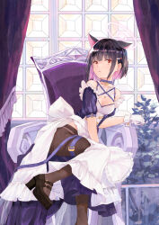 Rule 34 | 1girl, alternate costume, animal ears, apron, black footwear, black hair, black pantyhose, blue archive, cat ears, chair, choker, colored inner hair, forest 0, frilled apron, frills, gloves, hair ornament, hairclip, halo, high heels, highres, indoors, kazusa (blue archive), multicolored hair, pantyhose, parted lips, pink hair, pink halo, puffy short sleeves, puffy sleeves, purple choker, red eyes, short hair, short sleeves, sitting, solo, waist apron, white apron, white gloves