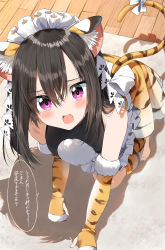 Rule 34 | 1girl, absurdres, all fours, animal ear fluff, animal ears, animal print, bare shoulders, black hair, black shirt, blush, bow, chinese zodiac, commentary request, elbow gloves, fang, fingerless gloves, fur-trimmed gloves, fur trim, gloves, hair between eyes, highres, long hair, open mouth, original, pentagon (railgun ky1206), print gloves, print skirt, purple eyes, shirt, skirt, sleeveless, sleeveless shirt, solo, speech bubble, tail, tail bow, tail ornament, tiger ears, tiger print, tiger tail, translation request, white bow, wooden floor, year of the tiger