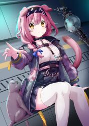 Rule 34 | 1girl, animal, arknights, arm support, black jacket, black skirt, blush, braid, breasts, brown eyes, cat, feet out of frame, garter straps, goldenglow (arknights), green eyes, hair between eyes, hair over shoulder, highres, jacket, long hair, long sleeves, open clothes, open jacket, orb, panikuru yuuto, parted lips, pink hair, puffy long sleeves, puffy sleeves, scissors, shirt, single braid, sitting, skirt, small breasts, solo, staff, sweat, thighhighs, white shirt, white thighhighs