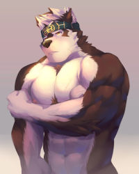 Rule 34 | 1boy, abs, ainu clothes, animal ears, bara, blush, bozi (17030417), chest hair, completely nude, furry, furry male, grey fur, headband, highres, horkeu kamui, large pectorals, male focus, multicolored hair, muscular, muscular male, navel, nipples, nude, pectoral squeeze, pectorals, scar, scar on chest, short hair, solo, stomach, tokyo houkago summoners, two-tone fur, two-tone hair, upper body, white fur, wolf boy, wolf ears