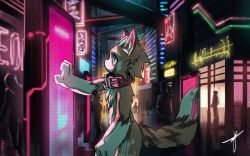 Rule 34 | 1boy, 6+others, animal ear fluff, blaedic, body fur, borrowed character, building, collar, commission, cyberpunk, dark, from side, furry, highres, multiple others, navel, neon lights, original, profile, sign, tail