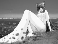 Rule 34 | 1girl, animal ears, bad anatomy, breasts, cat ears, collage, covered erect nipples, feet, giant, giantess, greyscale, huge giantess, landscape, monochrome, photo background, see-through, solo, upskirt