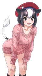 Rule 34 | 1girl, animal ears, black hair, blush, breasts, brown eyes, cleavage, collarbone, cow ears, cow girl, cow tail, hands on own knees, highres, holstein friesian cattle (kemono friends), kemono friends, large breasts, leaning forward, looking at viewer, multicolored hair, open mouth, pink sweater, short hair, simple background, smile, solo, sweater, tail, tanabe (fueisei), white hair