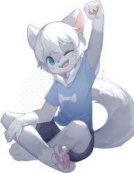 Rule 34 | 1boy, barefoot, bishounen, blue eyes, blue shirt, bone print, clenched hand, commentary, commentary request, crossed legs, furry, furry male, grey fur, highres, male focus, one eye closed, original, outstretched arm, shirt, tail, teeth, two-tone fur, upper teeth only, white fur, white hair, zhutangyuan