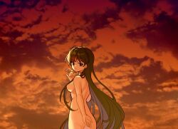 Rule 34 | 1girl, breasts, cloud, cloudy sky, completely nude, cowboy shot, dusk, feathers, green hair, highres, holding, holding feather, long hair, looking at viewer, looking back, may (2747513627), medium breasts, nude, outdoors, purple eyes, sayonara wo oshiete, sketch, sky, smile, solo, sugamo mutsuki, twilight, very long hair