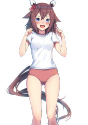 Rule 34 | 1girl, blue eyes, blush, breasts, brown hair, flower, gym shorts, gym uniform, hair flower, hair ornament, hands up, highres, looking at viewer, medium breasts, open mouth, sakura chiyono o (umamusume), shorts, simple background, smile, solo, tail, thighs, tks (526tks), umamusume, white background