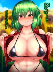 Rule 34 | 1girl, abs, areola slip, bare shoulders, bikini, black bikini, blurry, blurry background, blush, breasts, collarbone, curvy, day, field, flower, flower field, furrowed brow, green hair, grin, hair between eyes, halterneck, hands up, heartbeat, highres, huge breasts, kazami yuuka, looking at viewer, medium hair, micro bikini, navel, nose blush, open clothes, open vest, outdoors, peso (cheese company), plaid, plaid vest, red eyes, red vest, smile, solo, stomach, strap gap, sunflower, sunflower field, sweat, swimsuit, toned, touhou, translation request, upper body, vest