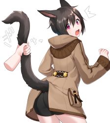 Rule 34 | 1girl, ^^^, animal ears, ass, bike shorts, black hair, black shorts, blush, brown coat, cat ears, cat girl, cat tail, coat, commentary request, disembodied hand, fang, final fantasy, final fantasy xiv, fingernails, hair between eyes, hand up, head tilt, highres, hood, hood down, hooded coat, long sleeves, looking at viewer, looking back, miqo&#039;te, open mouth, purple eyes, sakura chiyo (konachi000), short shorts, shorts, solo focus, sweat, tail, tail grab, tail raised, twitter username, white background, wide sleeves