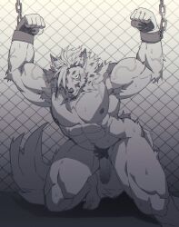 Rule 34 | 1boy, abs, another eidos-r, armpit hair, armpits, bara, clenched hands, clenched teeth, completely nude, cuffs, erection, fence, frown, furry, furry male, greyscale, handcuffs, highres, kneeling, large pectorals, looking at viewer, male focus, mature male, monochrome, muscular, muscular male, navel, nipples, nude, panther boy, pectorals, penis, solo, stomach, strongman waist, teeth, testicles, thick eyebrows, thick thighs, thighs, ttn (239 239), veins, veiny arms, veiny pectorals, zacharoff (another eidos)
