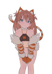 Rule 34 | 1girl, :/, animal ear fluff, animal ears, bandeau, bare shoulders, blue eyes, blush, breasts, brown hair, cat ears, cat tail, collarbone, commentary, covered erect nipples, detached sleeves, english commentary, fur collar, fur trim, gloves, head tilt, highres, kemonomimi mode, leaning forward, long hair, long sleeves, looking at viewer, navel, neon genesis evangelion, simple background, small breasts, solo, souryuu asuka langley, striped tail, tail, timbougami, white background