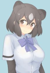 Rule 34 | &gt;:&gt;, 10s, 1girl, :&gt;, animal ears, bad id, bad pixiv id, bear ears, blue background, blue ribbon, blush, breasts, brown bear (kemono friends), brown eyes, brown hair, buttons, collar, collared shirt, elbow gloves, gloves, grey hair, hair between eyes, kemono friends, large breasts, looking at viewer, mobu, multicolored hair, neck ribbon, ribbon, shirt, short hair, simple background, solo, tareme, two-tone hair, upper body, v-shaped eyebrows, white shirt, wing collar