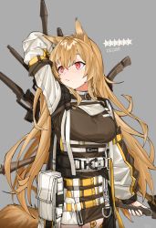 Rule 34 | 1girl, animal ears, arknights, breasts, ceobe (arknights), character name, dog ears, dog tail, grey background, highres, large breasts, light brown hair, long hair, material growth, oripathy lesion (arknights), pink eyes, skss, solo, tail, very long hair, weapon, weapon on back