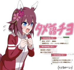 1girl animal_ears blue_eyes blush chokin_tsucho flower flying_sweatdrops hair_between_eyes hair_flower hair_ornament hands_up highres horse_ears horse_girl horse_tail jacket open_mouth own_hands_together pants pink_flower purple_flower red_jacket red_pants sakura_chiyono_o_(umamusume) simple_background solo sweat tail track_jacket track_pants track_suit translation_request umamusume v-shaped_eyebrows white_background