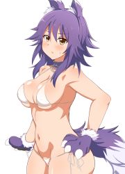 Rule 34 | 1girl, animal ear fluff, animal ears, animal hands, bikini, blush, breasts, brown eyes, collar, gloves, hand on own hip, highres, large breasts, looking at viewer, makoto (princess connect!), navel, paw gloves, princess connect!, purple hair, seihekiog, short hair, side-tie bikini bottom, simple background, solo, swimsuit, tail, white background, white bikini, wolf ears, wolf tail