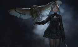 Rule 34 | 1girl, absurdres, animal, bird, black pantyhose, cleavage cutout, clothing cutout, cowboy shot, eurasian eagle owl, gloves, grey background, grey hair, highres, holding, holding sword, holding weapon, jun (5455454541), long hair, looking at viewer, original, owl, pantyhose, partially fingerless gloves, solo, standing, sword, weapon, yellow eyes
