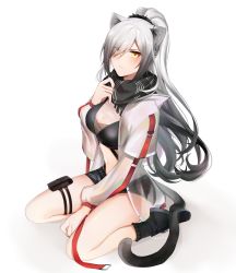 Rule 34 | 1girl, absurdres, animal ears, arknights, artist name, bare legs, black footwear, black scarf, black shorts, blush, breasts, cat ears, cat tail, commentary, crop top, hair between eyes, hand up, highres, icepop, jacket, long hair, long sleeves, looking at viewer, medium breasts, midriff, navel, ponytail, pouch, scarf, schwarz (arknights), seiza, shoes, short shorts, shorts, silver hair, simple background, sitting, solo, stomach, tail, thigh strap, thighs, twitter username, very long hair, white background, white jacket, yellow eyes