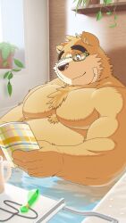 Rule 34 | 1boy, absurdres, animal ears, bandaid, bandaid on face, bara, bare pectorals, bathroom, bathtub, bear boy, bear ears, belly, brown fur, chest tuft, cup, furry, furry male, glasses, highres, jewelry, male focus, necklace, nude, orange eyes, pectorals, plant, potted plant, reading, tet (tetillust), thick arms, thick eyebrows, tokyo houkago summoners, volos (housamo)