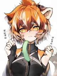Rule 34 | 1girl, absurdres, animal ears, animal nose, arknights, bare shoulders, blush, body fur, clenched hands, furrification, furry, furry female, hair between eyes, hands up, highres, looking at viewer, orange hair, short hair, simple background, slit pupils, solo, tab head, thick eyebrows, tiger ears, upper body, waai fu (arknights), whiskers, white background, yellow eyes