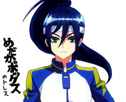 Rule 34 | 147, 1girl, blue hair, character request, frown, green eyes, headband, inazuma eleven (game), inazuma eleven (series), inazuma eleven go, inazuma eleven go chrono stone, jacket, long hair, looking at viewer, ponytail, raimon, simple background, solo, track jacket, translated, upper body, white background