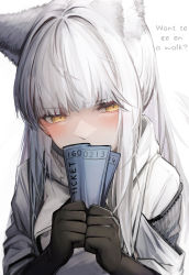 Rule 34 | 1girl, absurdres, animal ears, arknights, black gloves, blunt bangs, blush, embarrassed, english text, gloves, highres, holding ticket, jacket, long hair, looking to the side, platinum (arknights), simple background, solo, tab head, ticket, upper body, white background, white hair, white jacket, yellow eyes