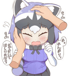 Rule 34 | 1girl, 1other, animal ears, blue hair, breasts, closed eyes, common raccoon (kemono friends), elbow gloves, fang, fur trim, gloves, grey hair, hand on another&#039;s face, headpat, highres, kemono friends, multicolored hair, nanachii (nanatidayo), raccoon ears, raccoon girl, raccoon tail, simple background, small breasts, solo focus, tail, translation request, white background, white hair