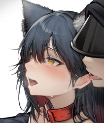 Rule 34 | 1boy, 1girl, animal ear fluff, animal ears, arknights, black hair, blush, buckle, collar, drooling, ear licking, ear lift, extra ears, gradient hair, hair between eyes, heart, heart-shaped pupils, hetero, highres, licking, long hair, multicolored hair, open mouth, red hair, saliva, solo focus, sweat, symbol-shaped pupils, tab head, texas (arknights), tongue, tongue out, upper body, wolf ears, yellow eyes