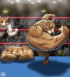 Rule 34 | 2019, action, animal, animal focus, cat, check commentary, closed eyes, commentary request, crossed arms, crowd, dog, flexing, fox, furry, matataku, md5 mismatch, meme, muscle fox, muscular, punching, right-hook dog, shiba inu, thick arms, twitter, wrestling ring