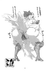 Rule 34 | bird, blush, censored, chicken, claws, feathers, highres, monster girl, nezunezu, translation request