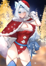 Rule 34 | 1girl, animal ear fluff, animal ears, argyle, argyle clothes, argyle cutout, blue bow, blue eyes, blue ribbon, blue thighhighs, blush, bow, breasts, capelet, cat ears, cat girl, cat tail, christmas, cleavage, clothing cutout, detached collar, dobrynya nikitich (fate), fate/grand order, fate (series), fur-trimmed capelet, fur-trimmed headwear, fur-trimmed leotard, fur trim, hair bow, hairband, hat, highleg, highleg leotard, jikihatiman, kittysuit, large breasts, leotard, long hair, looking at viewer, low ponytail, navel, night, night sky, nontraditional playboy bunny, one eye closed, red capelet, red leotard, ribbon, sack, santa hat, sky, smile, solo, tail, thighhighs, thighs, tree, white hair