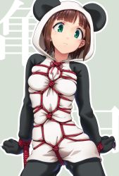 Rule 34 | 1girl, amami haruka, animal costume, animal ears, animal hood, aya shachou, bdsm, bondage, bound, breasts, brown hair, crotch rope, frown, green eyes, highres, hood, idolmaster, idolmaster (classic), long sleeves, looking at viewer, outline, panda costume, panda ears, rope, shibari, shibari over clothes, short hair, simple background, small breasts, solo, standing, turtle shell, white outline
