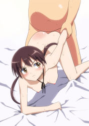 Rule 34 | 1boy, 1girl, all fours, angry, arm grab, arm held back, ass, bed sheet, blush, breasts, brown eyes, brown hair, crying, doggystyle, fat, fat man, from behind, gertrud barkhorn, hetero, long hair, looking back, nekomimi kanon, nipples, nude, ribbon, sex, sex from behind, shadow, sheet grab, small breasts, solo focus, spanked, strike witches, sweat, tears, twintails, wavy mouth, world witches series