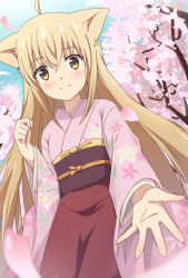Rule 34 | 1girl, ahoge, animal ears, apron, blonde hair, blush, brown apron, cherry blossoms, closed mouth, commentary request, dutch angle, fang, fang out, fingernails, floral print, fox ears, hair between eyes, highres, japanese clothes, kimono, konohana kitan, long hair, long sleeves, looking at viewer, obi, outstretched arm, petals, pink kimono, print kimono, sash, smile, solo, very long hair, wide sleeves, x-6, yellow eyes, yuzu (konohana kitan)